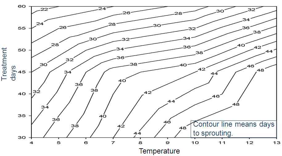 Fig. 2. The relationship between treatment days and temperature in order to break dormancy in lilium distichum.