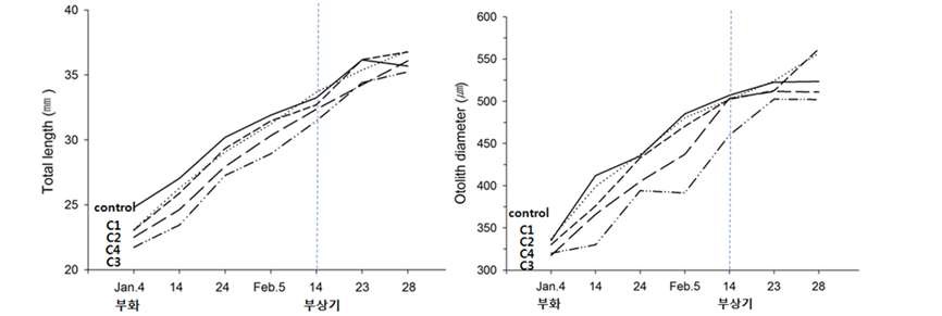 Fig. 1. Growth in total length and otolith radius of alevin (yolk-sac salmon larvae) from hatching in different pCO2.