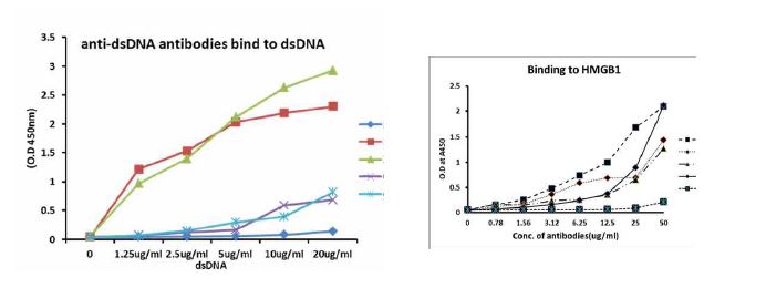 Fig. Binding of anti-dsDNA antibodies to dsDNA and HMGB1 were tested by ELISA .