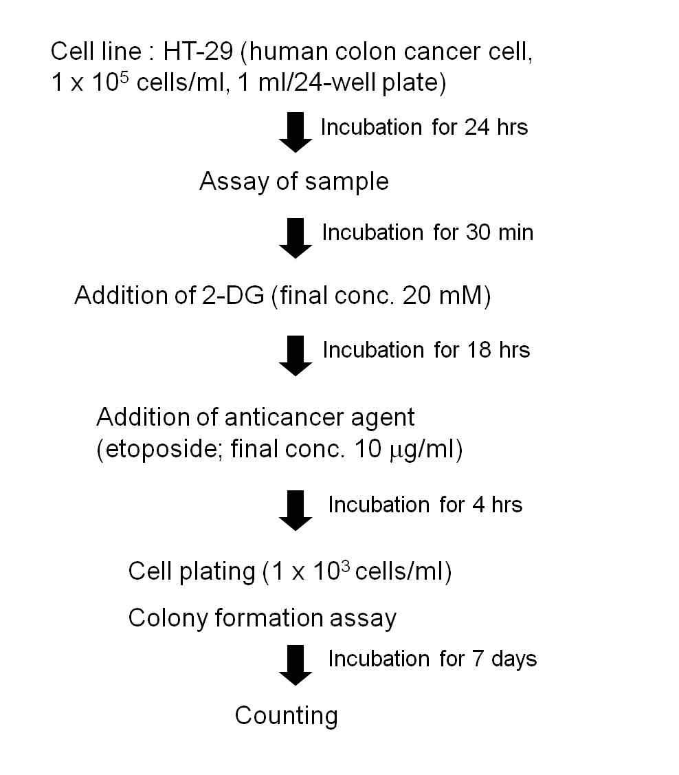 Fig. 8. 항암제 내성억제제 탐색에 대한 1차 screening system