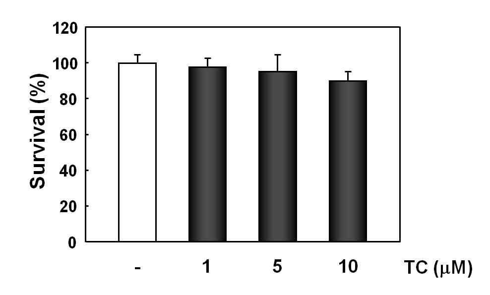 Fig. 18. Cellular sensitivity to trachelogenin under normal growth.