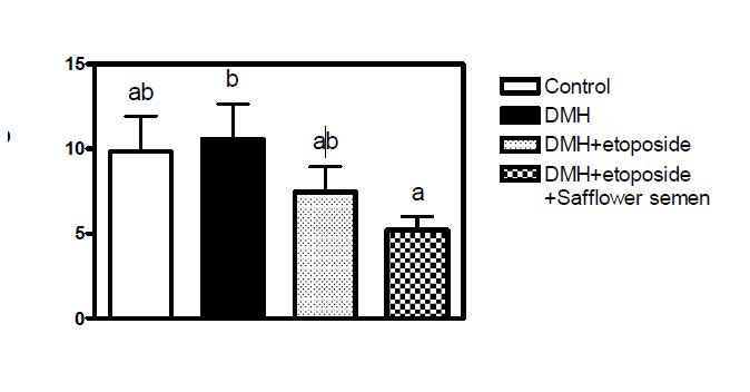 Fig. 25. Effect of Safflower semen supplementation on DNA damage in colonocytes.