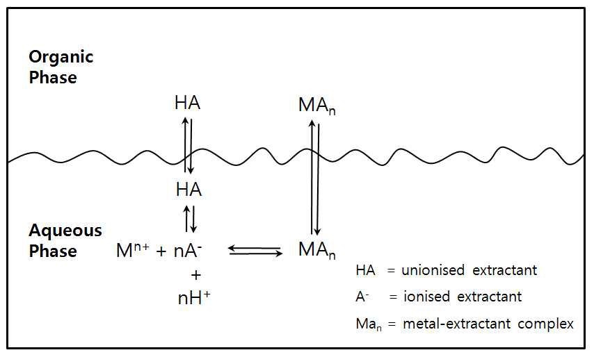 Some of the Equilibria Involved in the Extraction of a Metal.