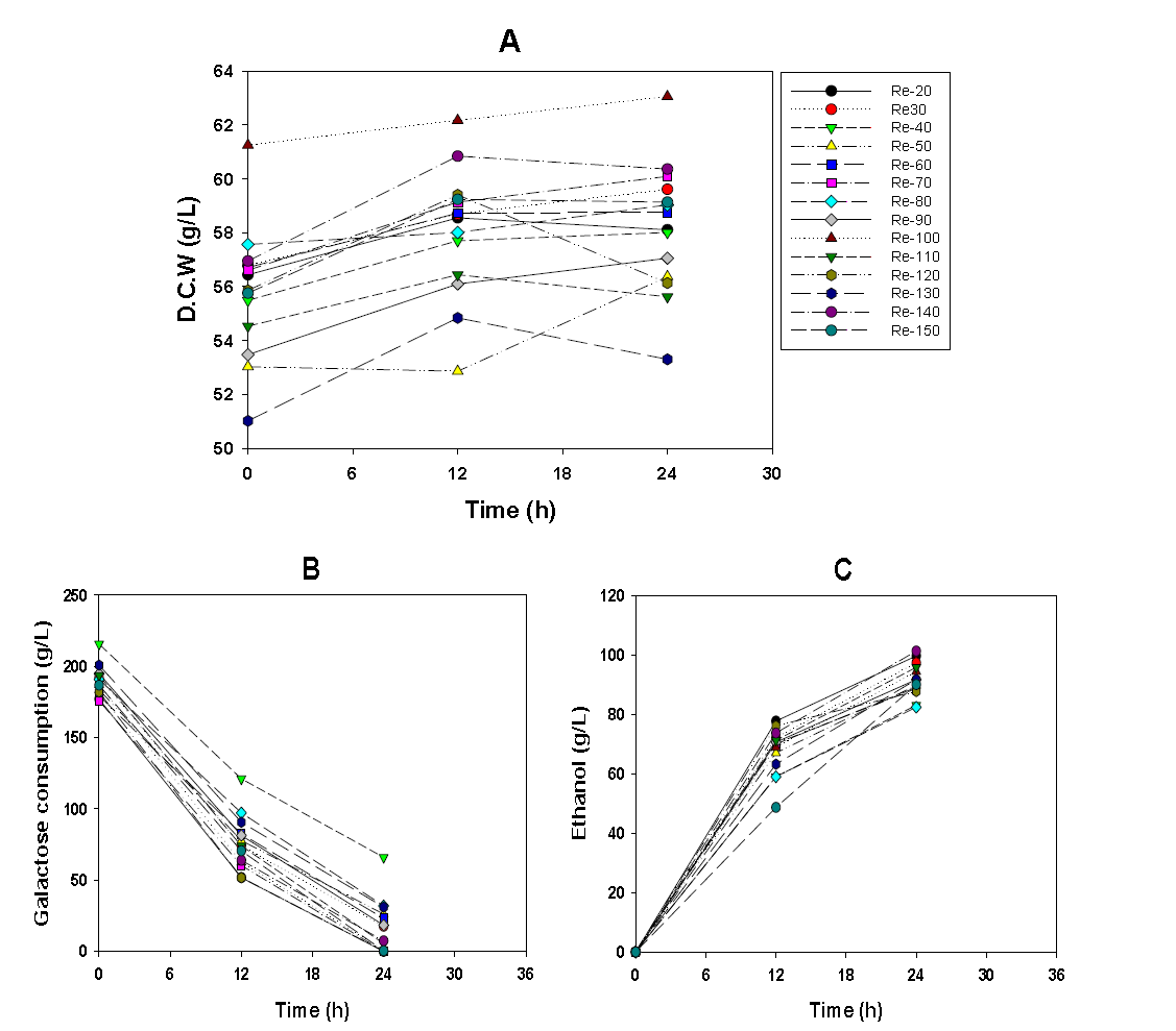 발효에 있어서의 균주 재활용 효과 (B. custersii, 20% galactose, 1% N-source.) (A) D.C.W (g/L), (B) Galactose consumption (g/L), (C) Ethanol production (g/L).