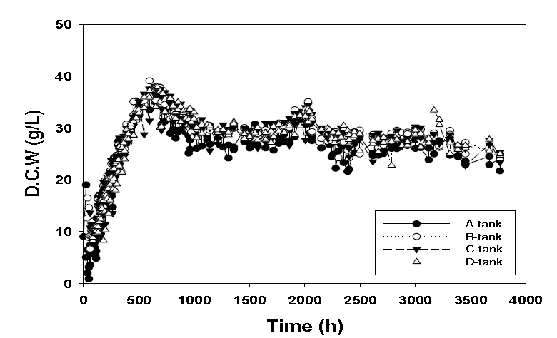 장시간 발효에 따른 균주 안정성 (B. custersii, semi-continuous fermentation, 20% monosugar, 1% N-source. ●, A-tank ; ○, B-tank ; ▼, C-tank ; △, D-tank)