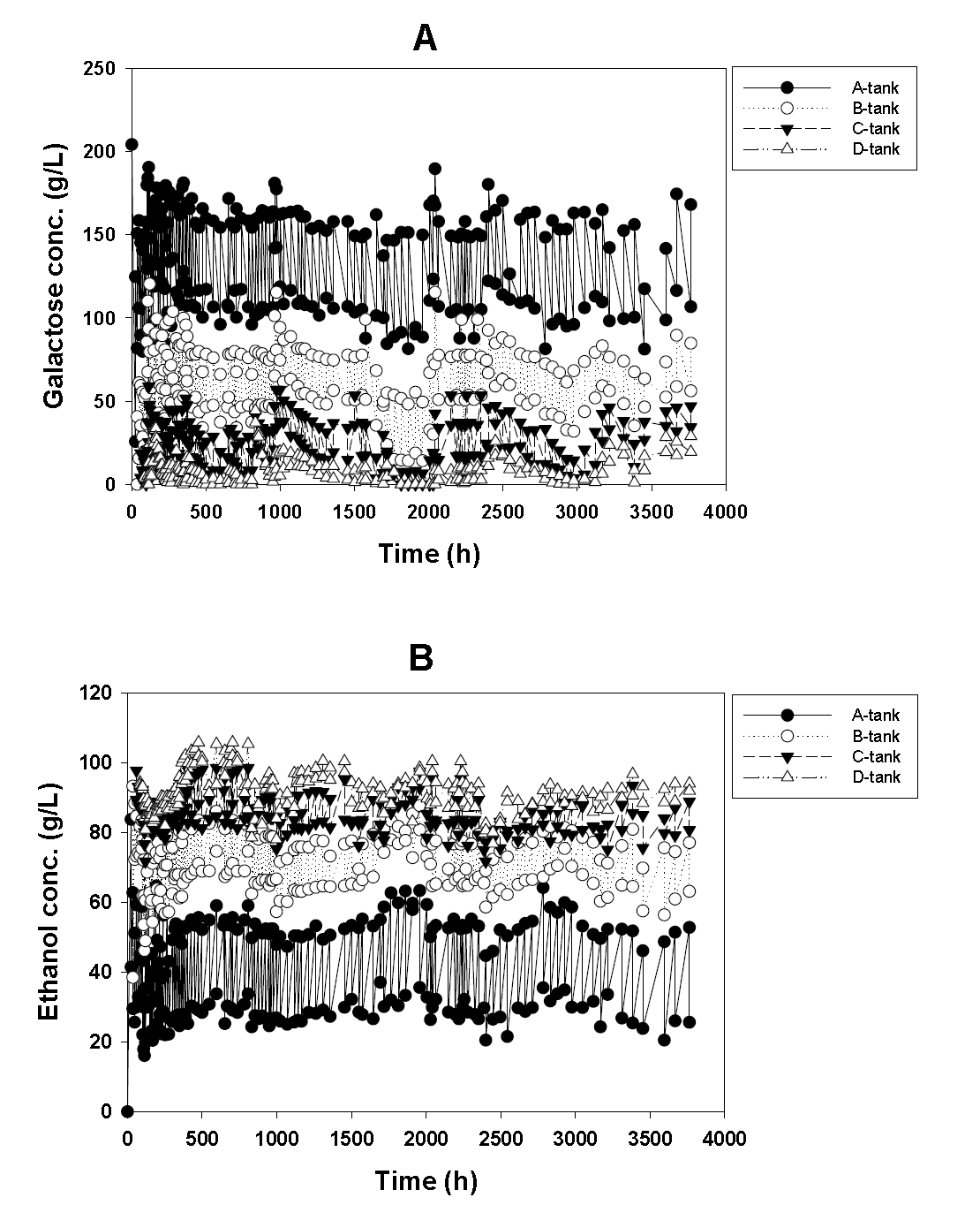 장시간 발효에 따른 에탄올 생산능 (A: galactose, B: 에탄올 농도, B. custersii, 20% galactose, 1% N-source. ●, A-tank ; ○, B-tank ; ▼, C-tank ; △, D-tank.)