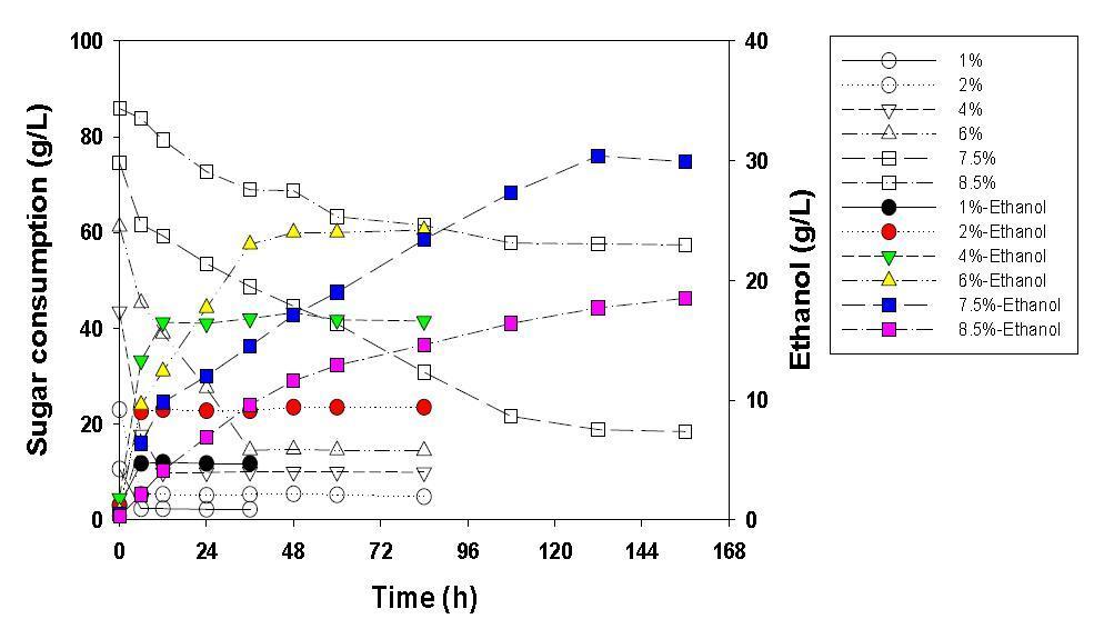 당화액 농도별 발효영향 (B. custersii , G. chorda hydrolysate)