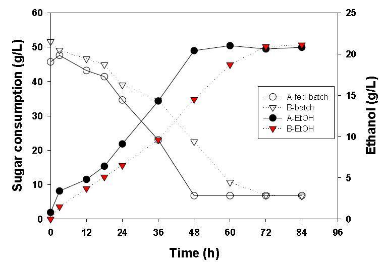 발효 방식(회분식, 반회분식)에 따른 당소비 및 에탄올 생산영향 (E. spinosum, S/L 20, A : fed-batch, B : batch)