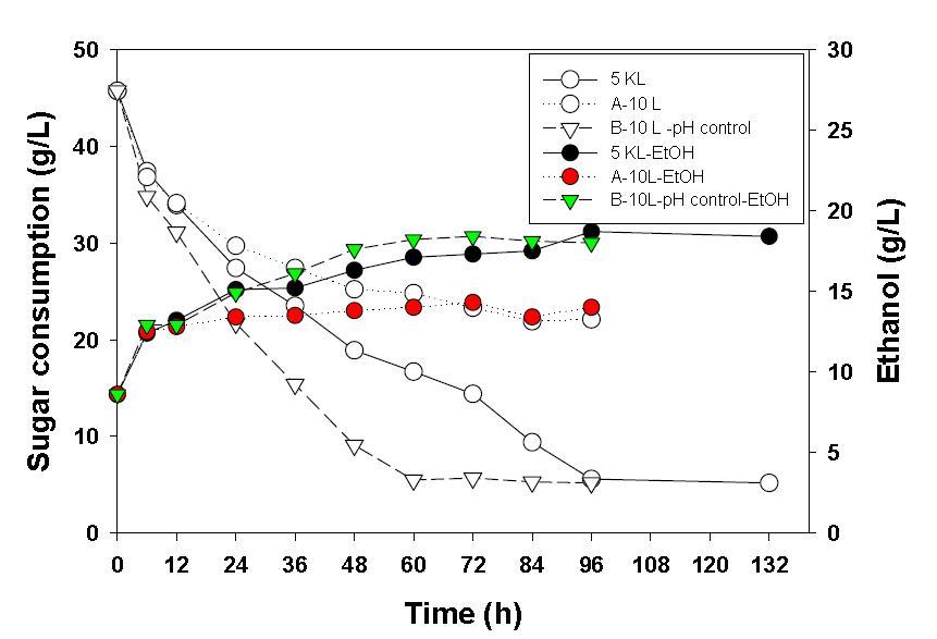 5 KL 발효기에서의 pH 조정효과 [E.spinosum hydrolyzate (A) No control, (B) control]