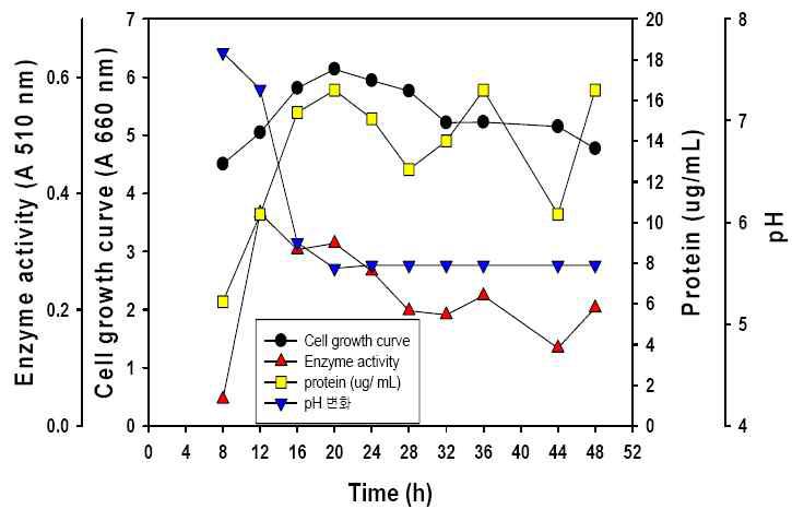 SH균주 성장 및 효소활성(Carrageenan)