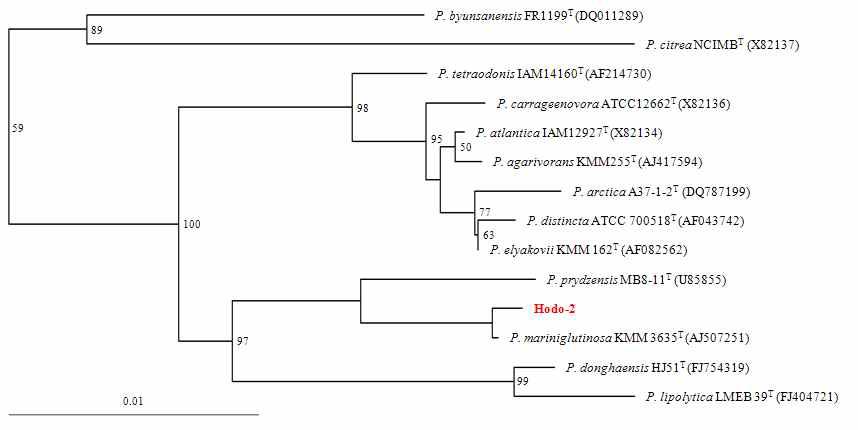 Hodo-2의 phylogenetic tree.