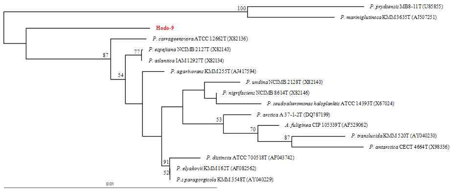 Hodo-9 phylogenetic tree.