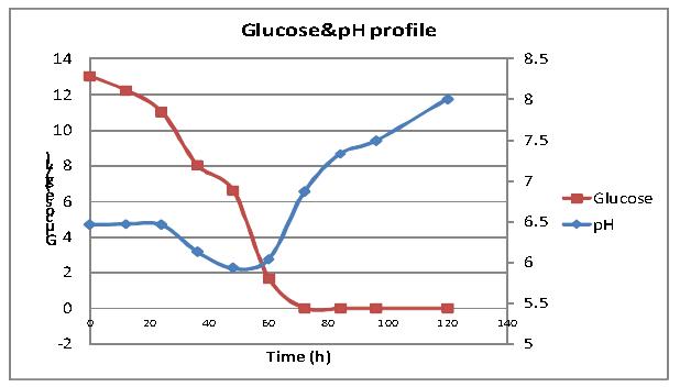 Glucose, pH profile