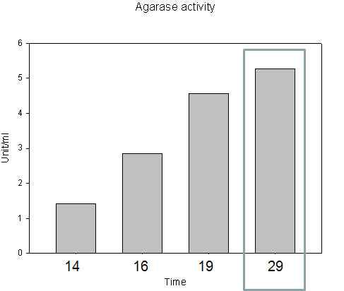 생물배양기 내 agarase activity