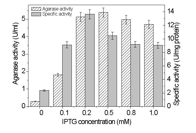 Agarase 최적발현을 위한 IPTG 농도 실험 결과