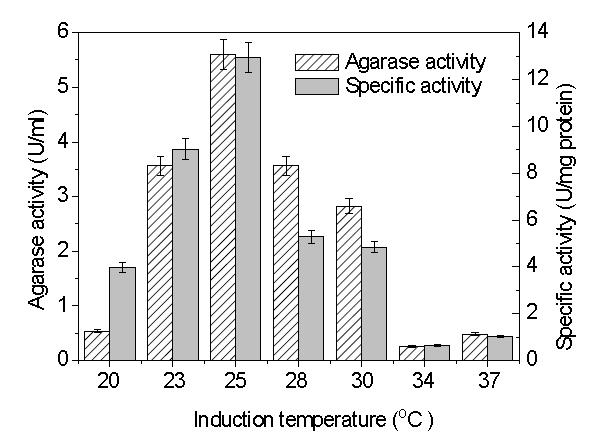 Agarase 최적발현을 위한 발현 온도 실험 결과