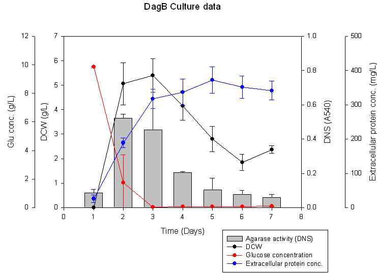 DagB 균주의 flask culutre 결과