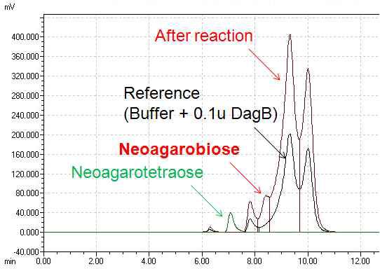 DagB를 이용한 네오아가로테트라오스의 분해실험 결과