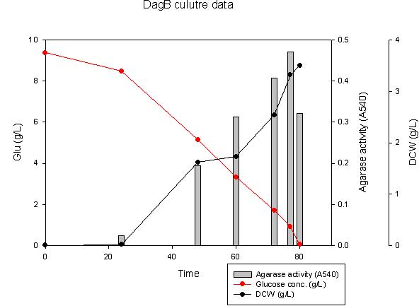 생물배양기를 이용한 DagB의 대량 생산