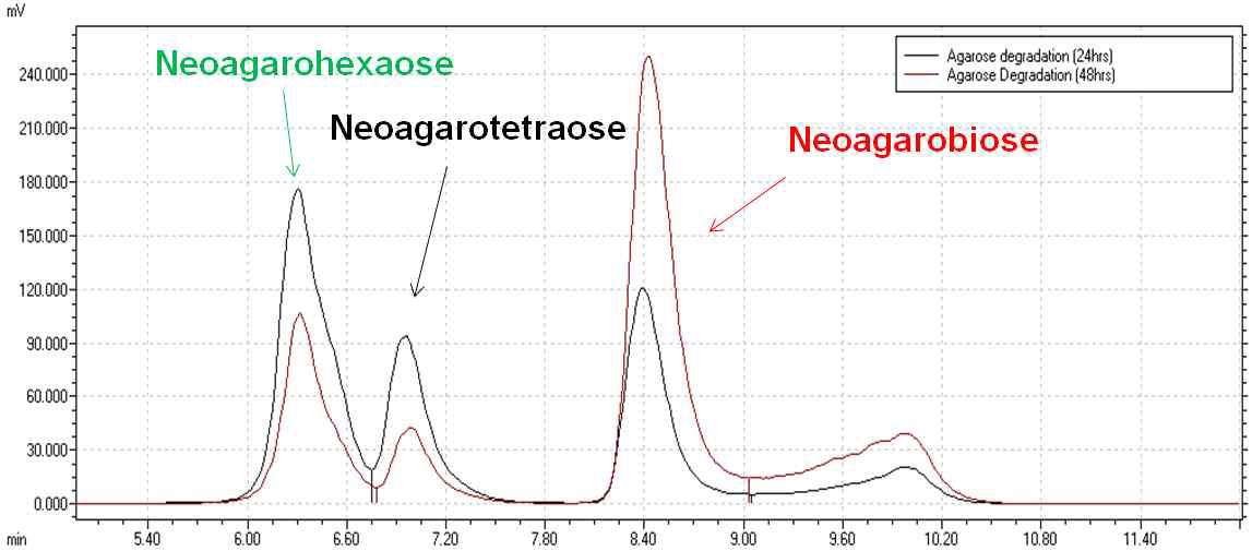 DagB를 사용한 아가로오즈 분해물의 HPLC 분석