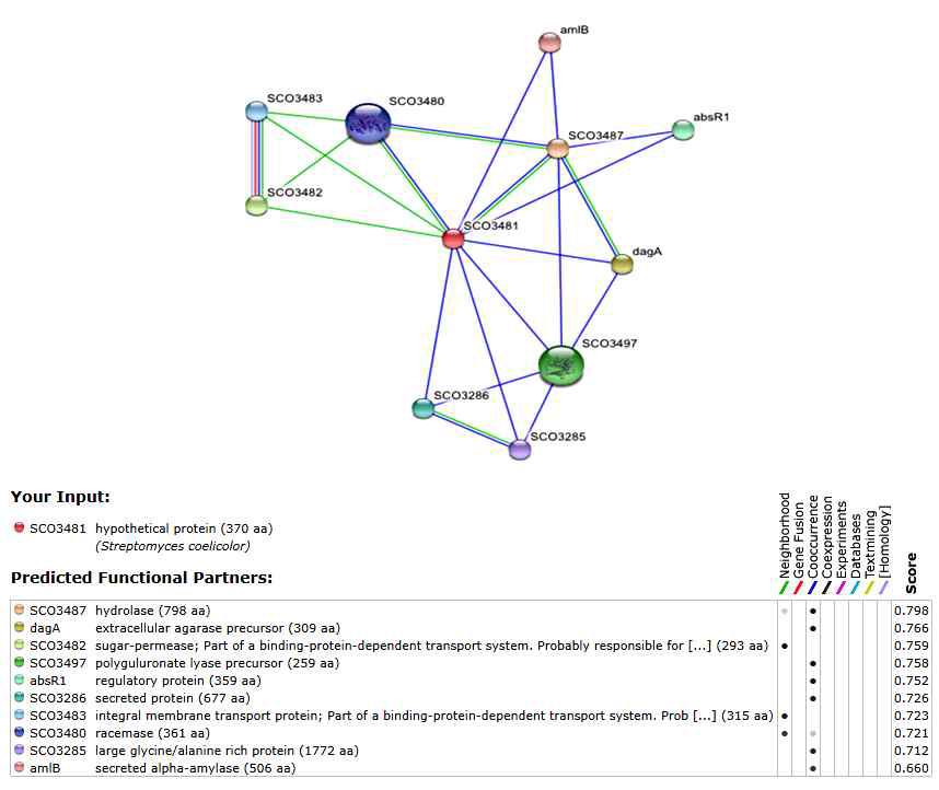 SCO3481과 기능적 유사성을 갖는 단백질들간의 관계도