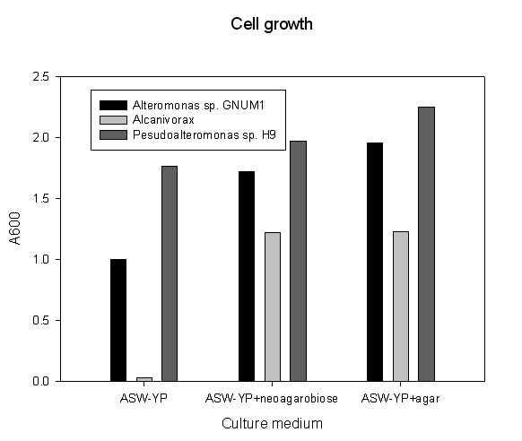 각 생육배지에 추가한 탄소원에 따른 cell growth 결과