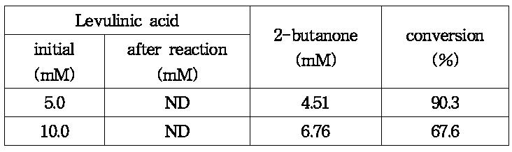 효소 반응에 의한 levulinic acid의 2-butanone 전환 수율