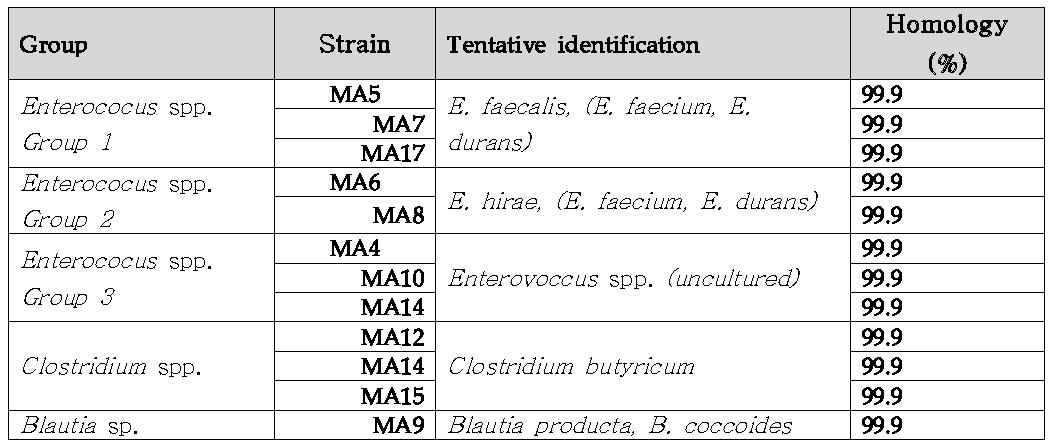 Enrichment culture에서 분리된 균주들의 16S rRNA 염기서열 상동성