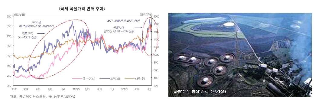 1세대 바이오에탄올 생산에 따른 영향