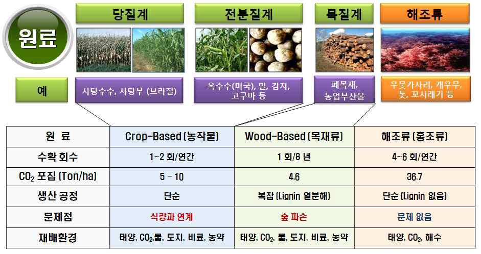 바이오에탄올 생산용 바이오매스의 종류별 특성