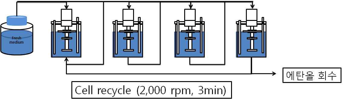 반연속식 발효기 공정 개념도