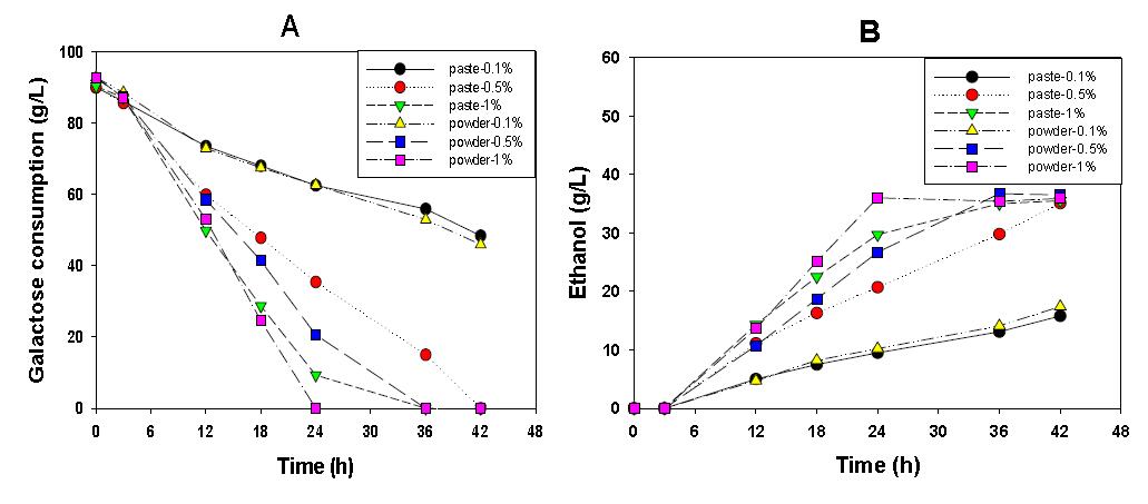 질소원 형태에 따른 발효시간별 갈락토오스 농도 변화 (A) ethanol production (B) powder 및 paste형