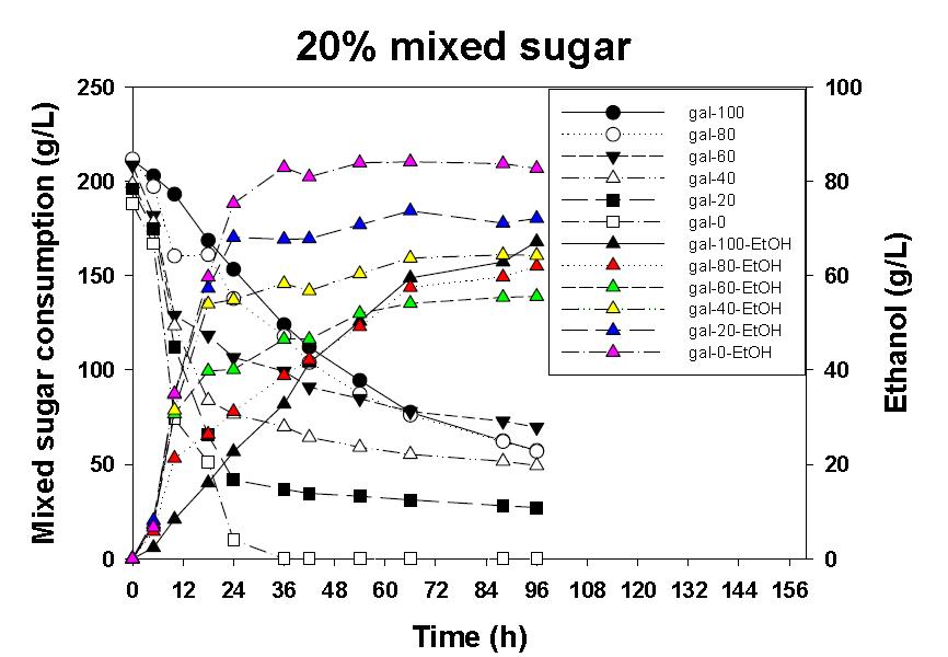 혼합당에서의 갈락토오스 소비 및 에탄올 생산
