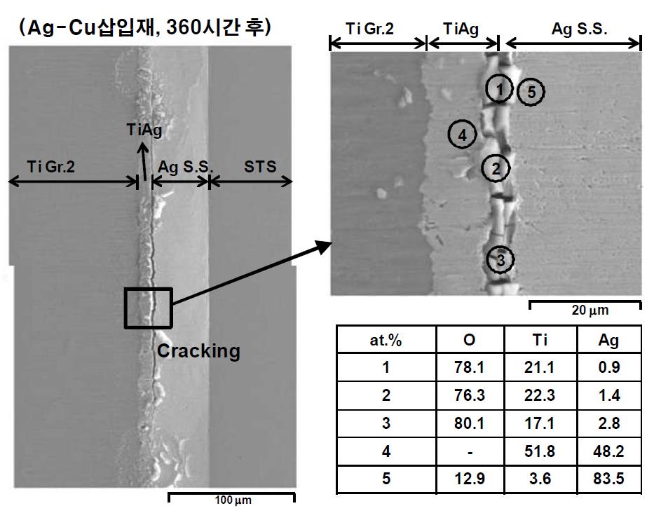 Ag-Cu 삽입재를 이용하여 접합한 Ti-Super STS 이종 접합시편의 침지 시의