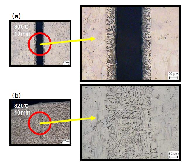 Zr-Ti-Cu-Ni-Be 삽입재를 이용한 Ti-Ti 접합 시편의 파단면 (a) 800℃, 10분, (b) 82