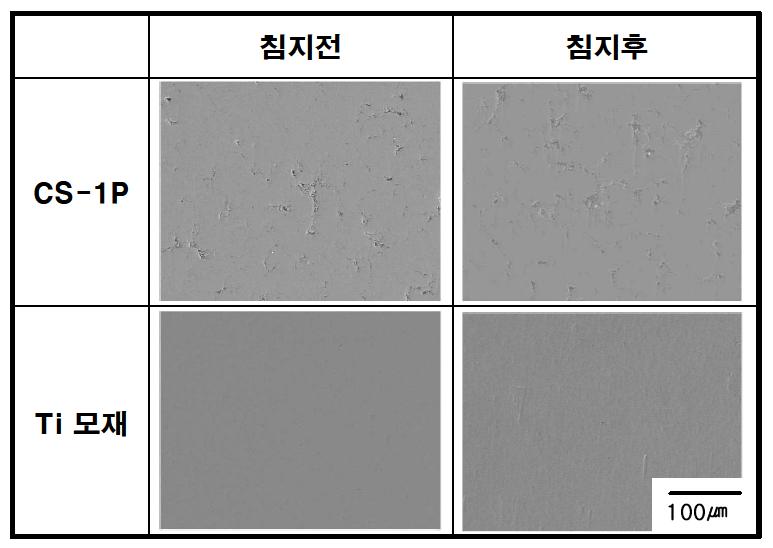 CGDS로 코팅된 Ti 코팅층의 침지시험 전, 후의 조직 변화(P : 표면 연마)