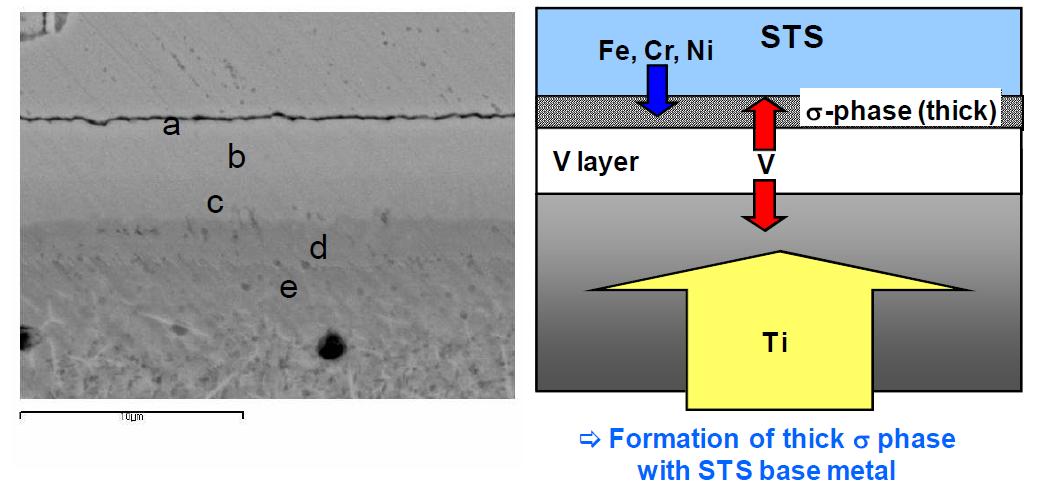 V interlayer를 이용하여 접합한 Ti-Super STS 이종 접합부의 조직 및 형성 거동