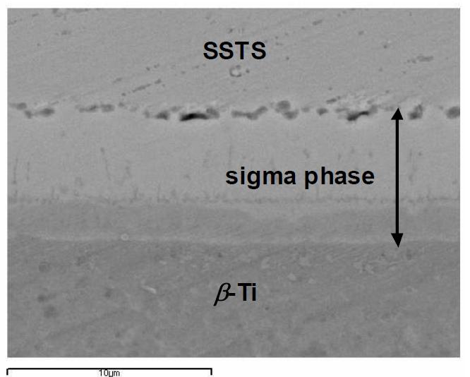 V interlayer를 이용하여 접합한 Ti-Super STS 이종 접합부의 조직(900℃, 30분)