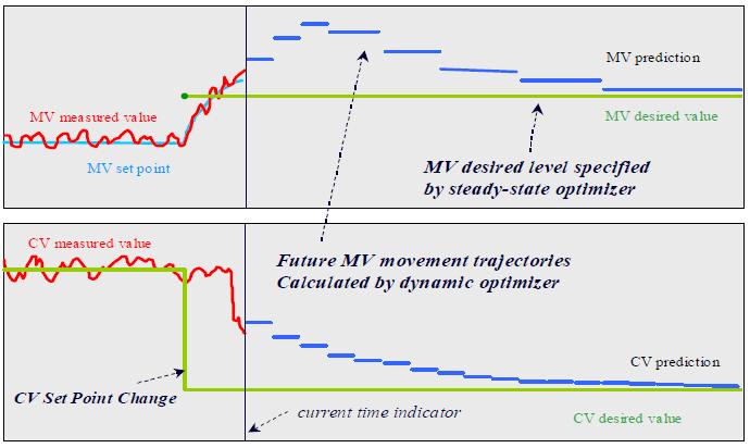 Steady State and Dynamic Optimization