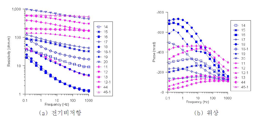 광대역 유도분극 반응이 상대적으로 큰 흑연질 편마암과 규질 이암