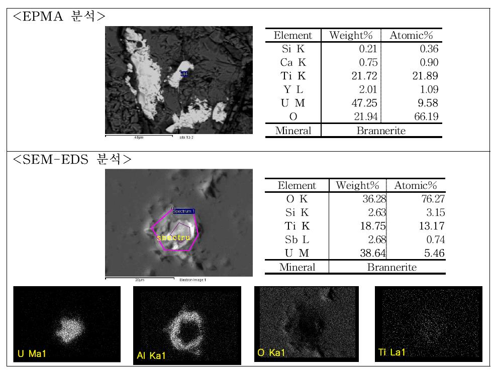 EPMA 및 SEM-EDS 분석 결과(Brannerite)
