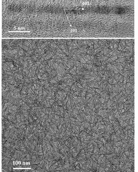 TiO2 나노막대의 전자현미경 사진