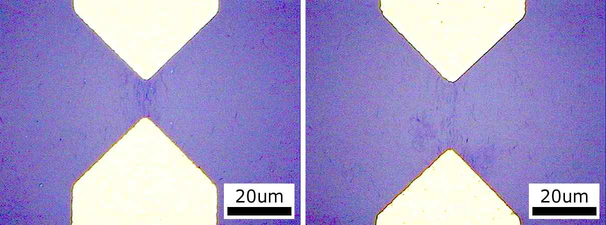 전극사이의 CNT 현미경 사진 (100배).