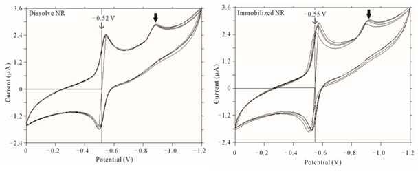 cyclic voltametry for NR