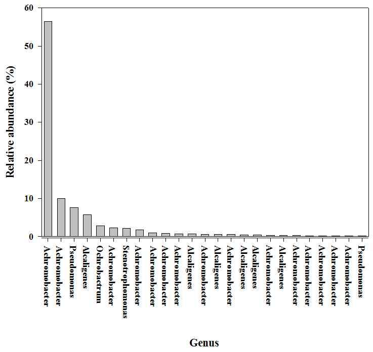 Pyrosequencing 분석 결과