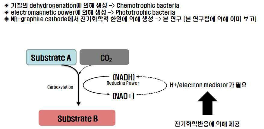 이산화탄소 고정을 위한 전기화학적 환원력