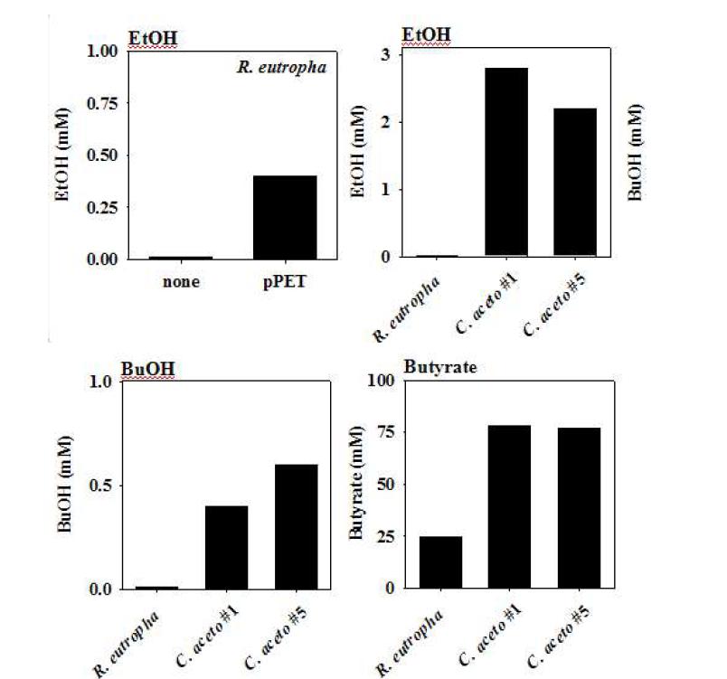 대산산물 정량 그래프. EtOH는 ethanol. BuOH는 butanol을 의미하며 C. acetobutylicum #1과 #5는 두 종의 균주를 분리하여 각각을 명명한 균주를 의미한다.