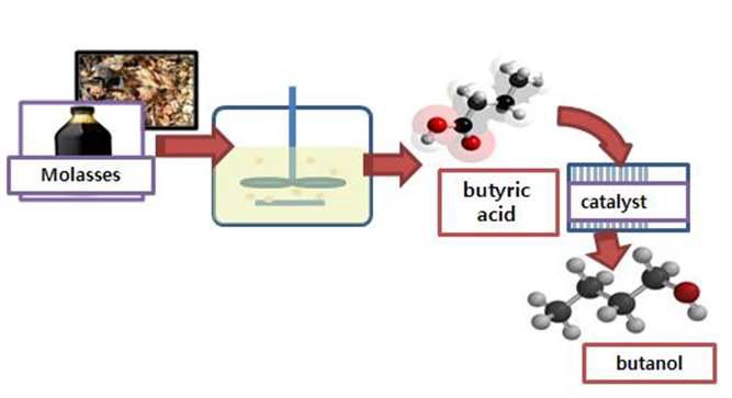 부탄올 생산 과정