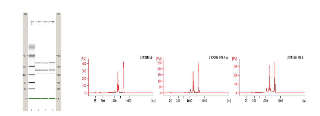 RNA migration and peak pattern (QC)