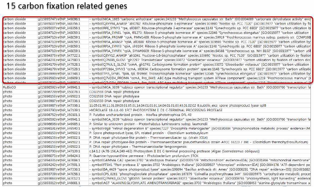 이산화탄소 고정화 관련 유전자
